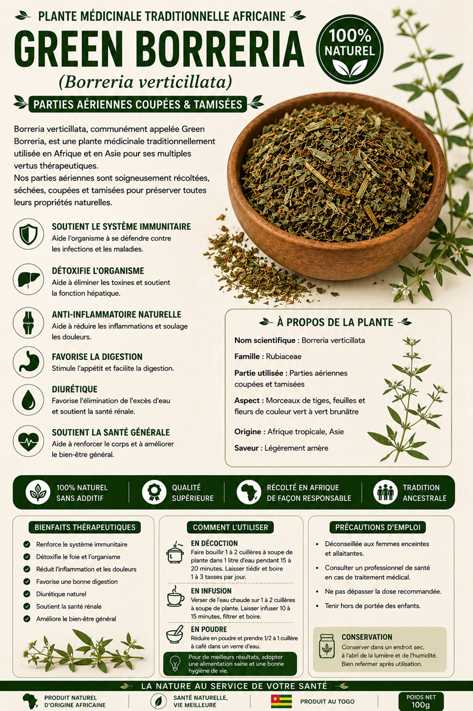 Green Borreria (Borreria verticillata)